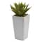 9" Mini Agave Arrangement in White Planter, 3ct.